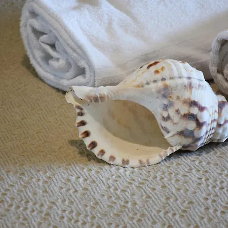 Farma Oasi Blu Calasetta