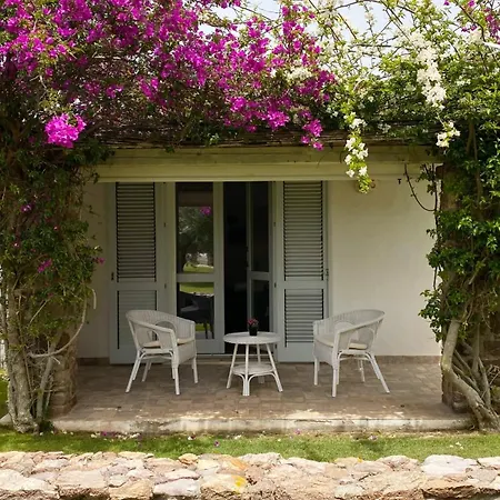 Oasi Blu 칼라세타